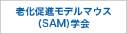 老化促進モデルマウス（SAM）学会